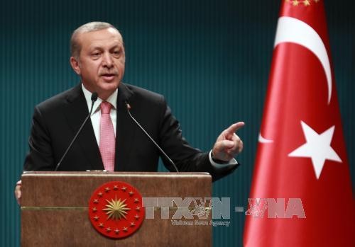 Turquie: Erdogan promet de réorganiser l'armée au plus vite - ảnh 1